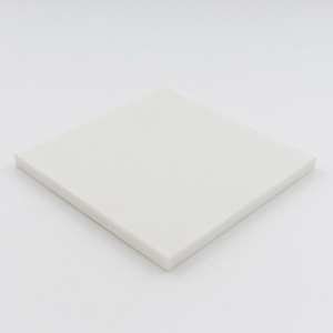 Пластик PET 50x610x1000мм (Поліетилентерефталат) плита біла